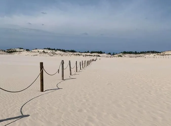 Piaski I Trawy 莱鲍